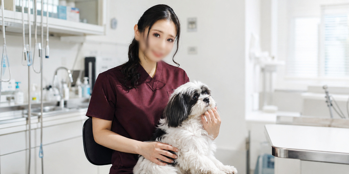 動物病院勤務 J子