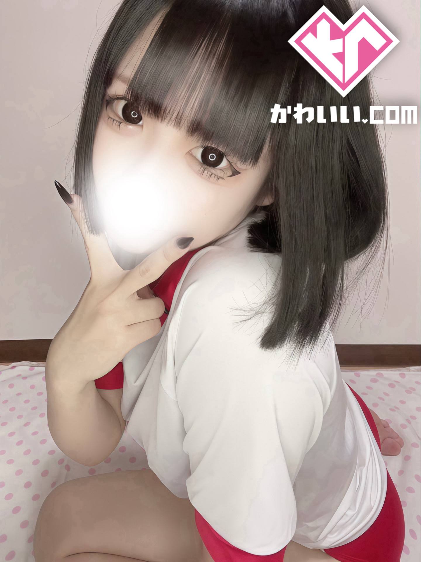 ちわわ